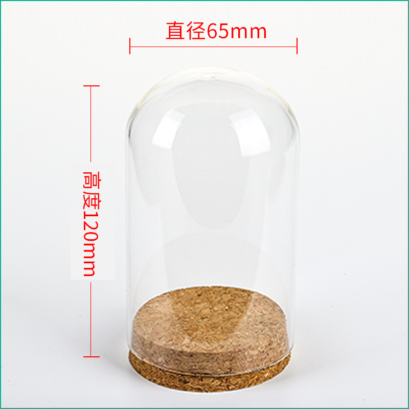 Wedding Zoo - Vitrine en verre transparent africain avec